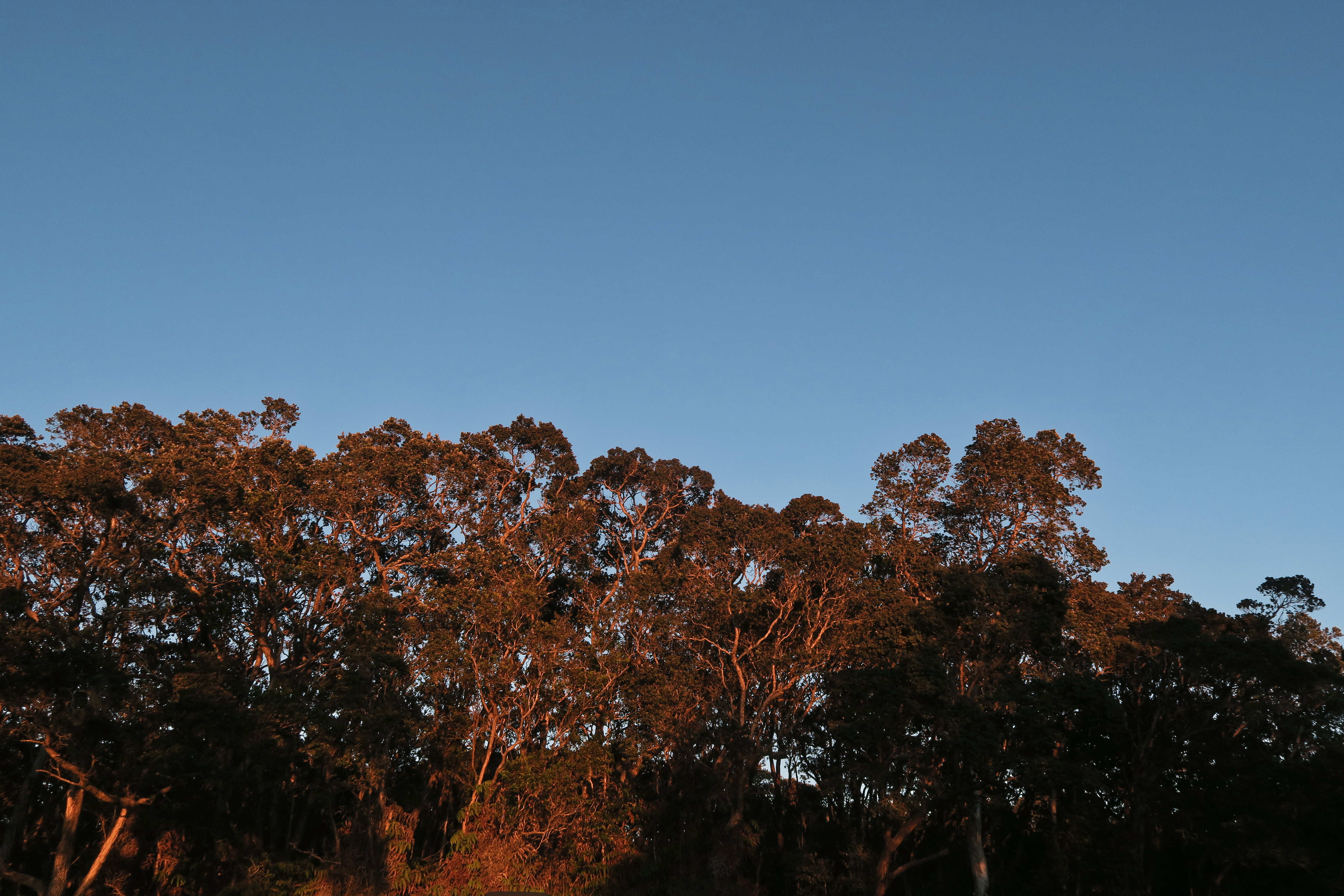 Mauna Kea